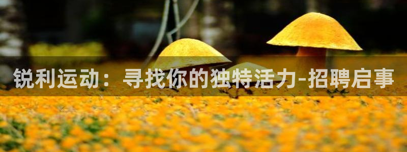 betway西汉姆联官网：锐利运动：寻找你的独特活力-招聘启事