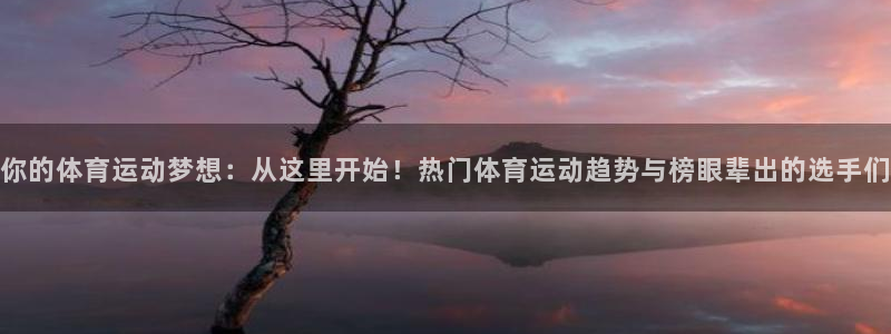 betway西汉姆联官网：你的体育运动梦想：从这里开始！热门体育运动趋势与榜眼辈出的选手们