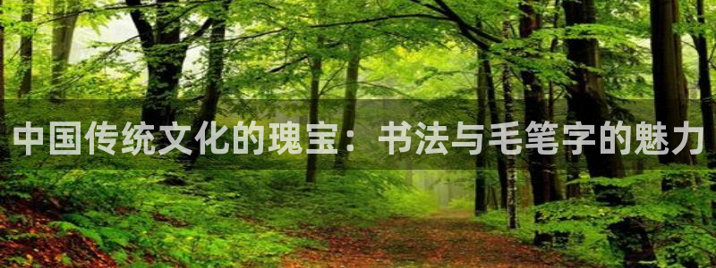 betway西汉姆官网：中国传统文化的瑰宝：书法与毛笔字的魅力