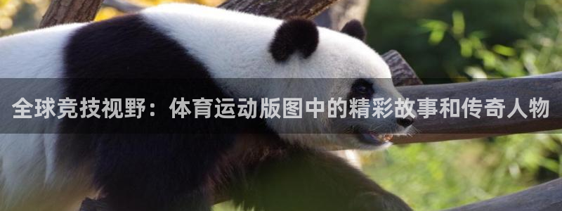 必威betway西汉姆联：全球竞技视野：体育运动版图中的精彩故事和传奇人物