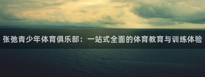 betway西汉姆：张弛青少年体育俱乐部：一站式全面的体育教育与训练体验